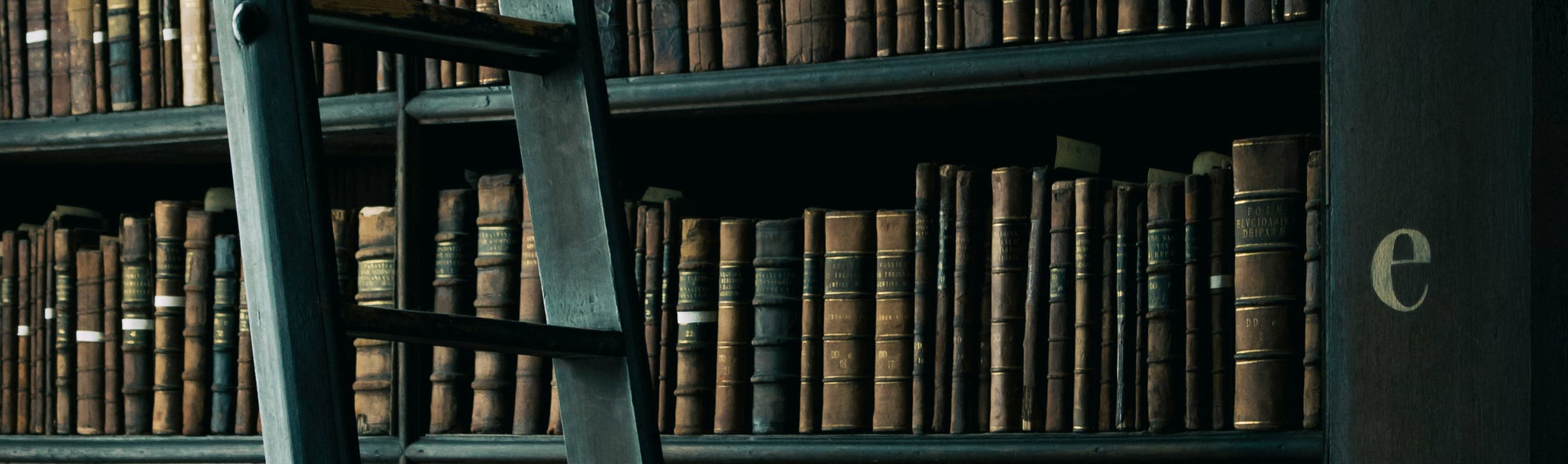 <img source='pic.gif' alt='Bild einer alten Bibliothek mit Leiter'/>
