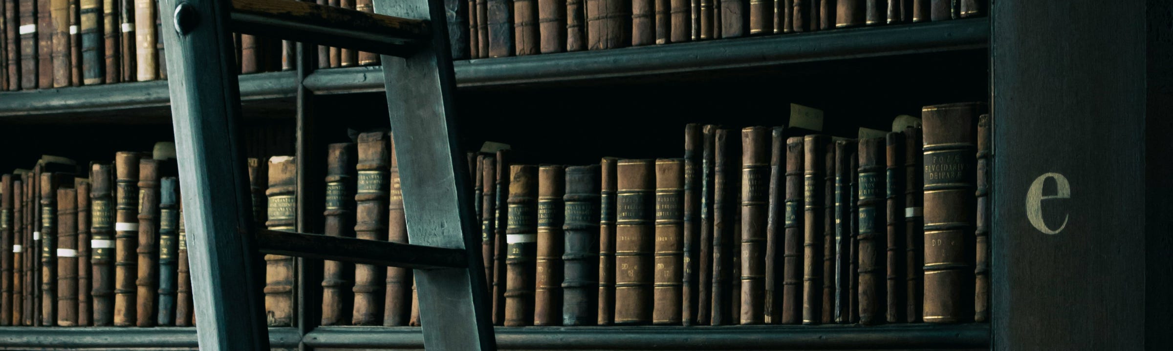 <img source='pic.gif' alt='Bild einer alten Bibliothek mit Leiter'/>
