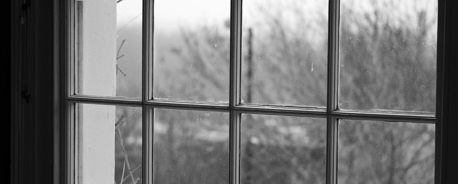 Blick durch ein Fenstergitter. Draußen: winterliches Gestrüpp