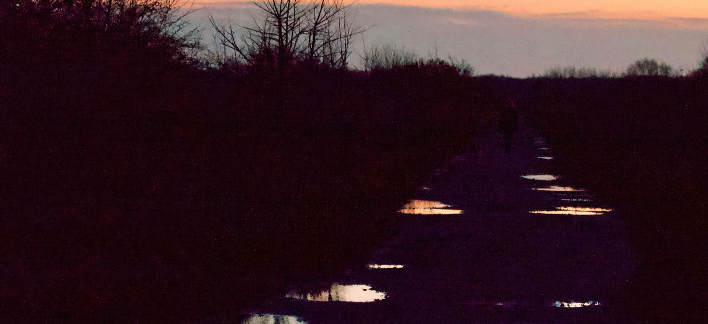 Dunkler Moorweg in der Dämmerung mit Wasserflächen, kahlen Sträuchern und spiegelndem Licht am Horizont.